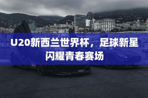 U20新西兰世界洪湖市顺升工程机械租赁有限公司杯，足球新星闪耀青春赛场