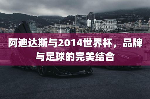 阿迪达斯与2014世界杯，品洪湖市顺升工程机械租赁有限公司牌与足球的完美结合