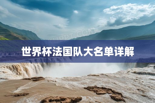 世界杯法国队大名单详解