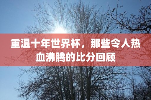 重温十年世界杯，那些令人热血沸腾的比分回顾洪湖市顺升工程机械租赁有限公司