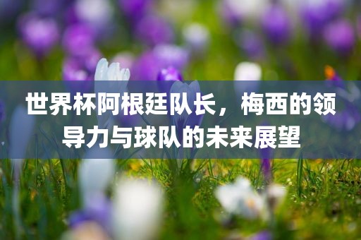 世界杯阿根廷队长，梅西的领导力与球队的未来展望洪湖市顺升工程机械租赁有限公司