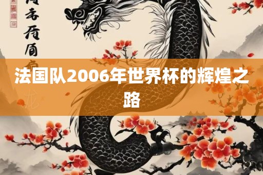 法国队2006年世界杯的辉煌之路