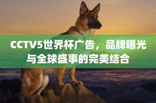 CCTV5世界杯广告，品牌曝光与全球盛事的完美结合洪湖市顺升工程机械租赁有限公司