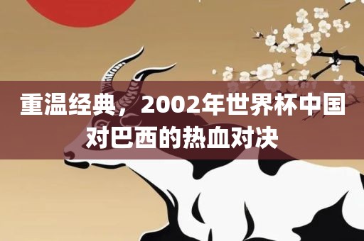 重温经典，2002年世界杯中国对巴洪湖市顺升工程机械租赁有限公司西的热血对决