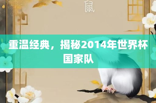 重温经典，揭秘2014年世界杯国家队