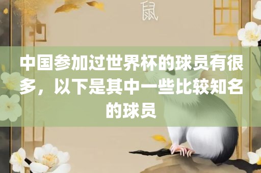 中国参加过世界杯的球员有很多，以下是其中一些比较知名的球员