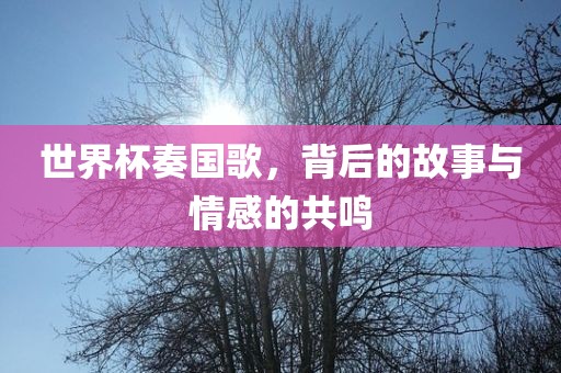 世界杯奏国歌，背后的故事与情感的共鸣洪湖市顺升工程机械租赁有限公司