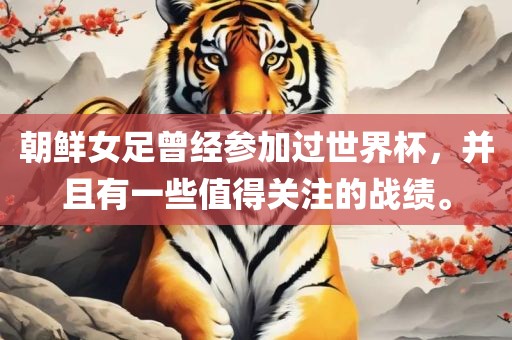 朝鲜女足曾经参加过世界杯，并且有一些值得关注的战绩。