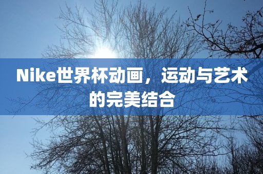 Nike世界杯动画，运动与艺术的完美结洪湖市顺升工程机械租赁有限公司合