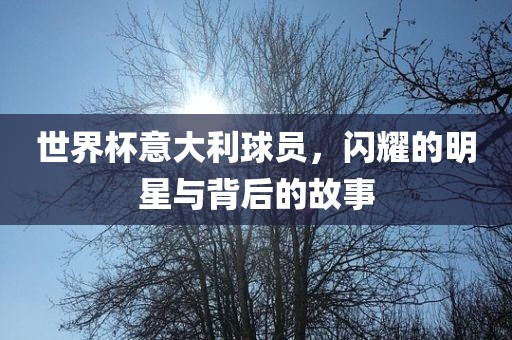 世界杯意大利球员，闪耀的明星与洪湖市顺升工程机械租赁有限公司背后的故事