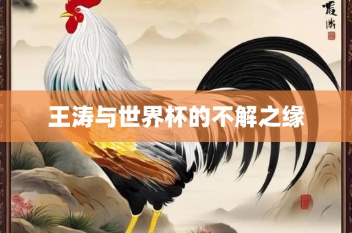 王涛与世界洪湖市顺升工程机械租赁有限公司杯的不解之缘