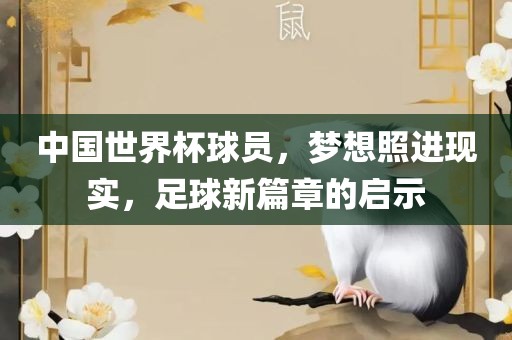 中国世界杯球员，梦想照进现实，足球新篇章的启示