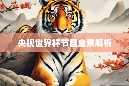 央视世界杯节目全景洪湖市顺升工程机械租赁有限公司解析