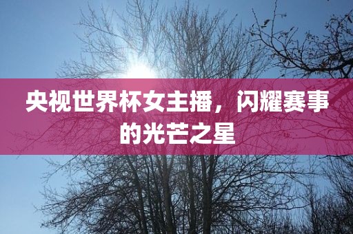 央视世界杯女主播，闪耀赛事的光芒之星洪湖市顺升工程机械租赁有限公司