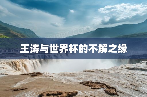 王涛与世界杯的不解之缘