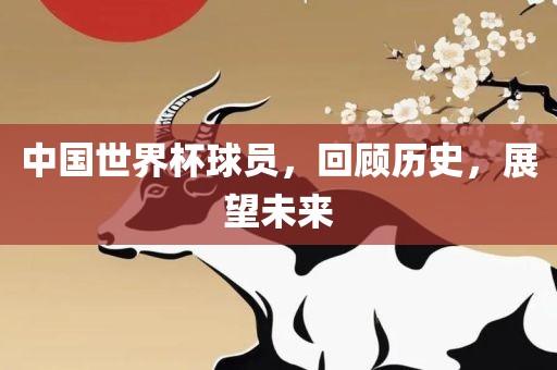 中国世界杯球员，回顾历史，展望未来