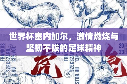 世界杯塞内加尔，激情燃烧与坚韧不拔的足球精神