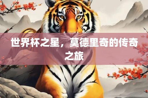 世界杯之星，莫德里奇的传奇之旅