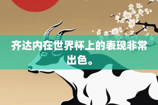 世界杯表现 第11页