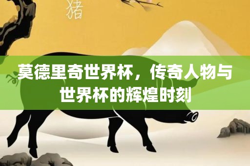 莫德里奇世界杯，传奇人物与世界杯的辉煌时刻