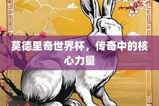 莫德里奇世界杯，传奇中的核心力量