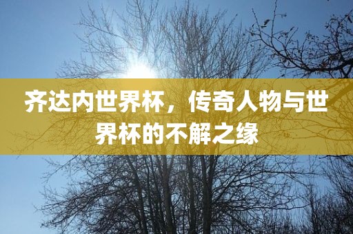 齐达内世界杯，传奇人物与世界杯的不解之缘