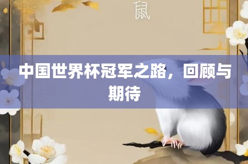 中国世界杯冠军之路，回顾与期待洪湖市顺升工程机械租赁有限公司