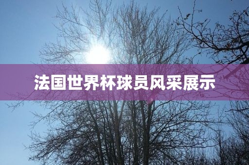 法国世界杯球员风采展示洪湖市顺升工程机械租赁有限公司