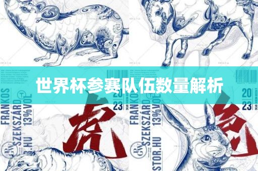 世界杯参赛队伍数量解析