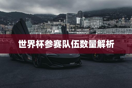 世界杯参赛队伍数量解析