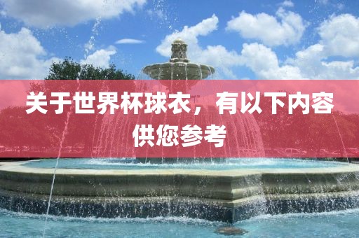 关于世界杯球衣，有以下内容供您参考