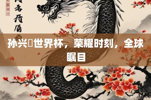 孙兴慜世界杯，荣耀时刻，全球瞩目