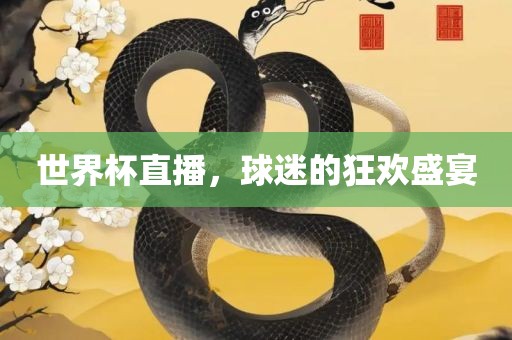 世界杯直播，球迷的狂欢盛宴