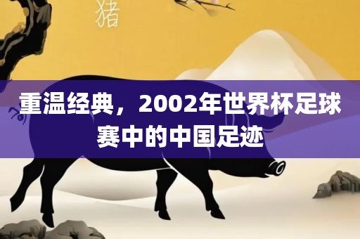 重温经典，2002年世界杯足球赛中的中国足迹洪湖市顺升工程机械租赁有限公司