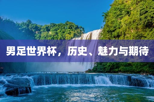 男足世界杯，历史、魅力与期待洪湖市顺升工程机械租赁有限公司
