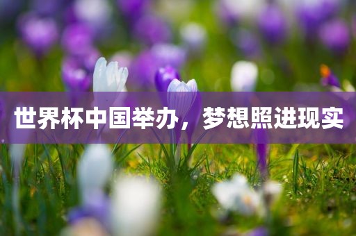 世界杯中国举办，梦想照进现实