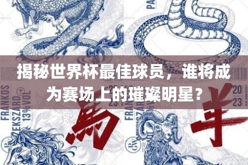 揭秘世界杯最佳球员，谁将成为赛场上的璀璨明星？