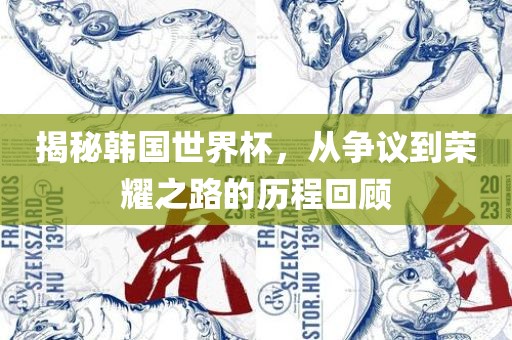 揭秘韩国世界杯，从争议到荣耀之路的历程回顾