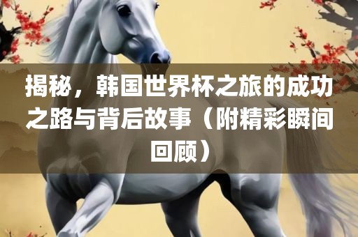 揭秘，韩国世界杯之旅的成功之路与背后故事（附精彩瞬间回顾）