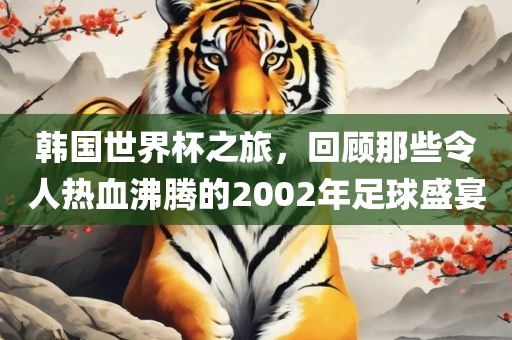韩国世界杯之旅，回顾那些令人热血沸腾的2002年足球盛宴