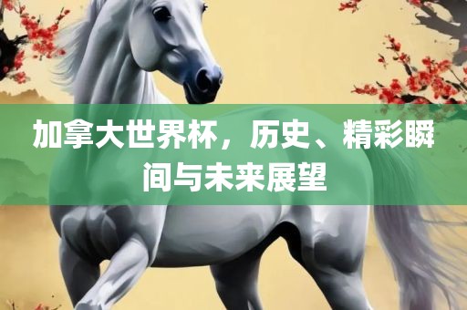 加拿大世界杯，历史、精彩瞬间与未来展望