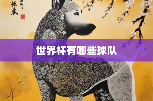 世界杯有哪些球队