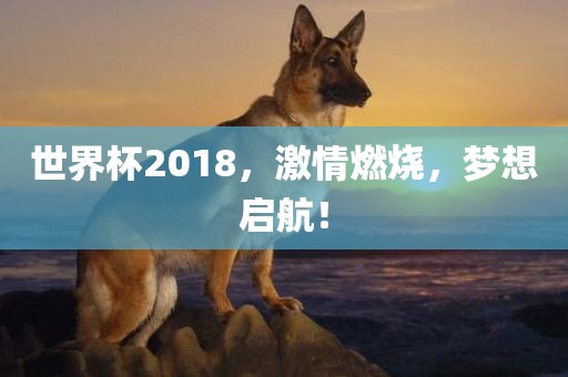 世界杯2018，激情燃烧，梦想启航！