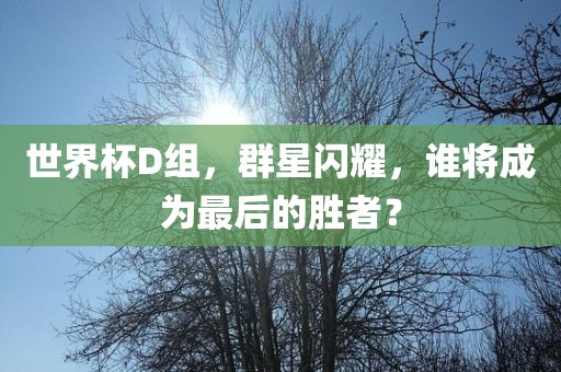 世界杯D组，群星闪耀，谁将成为最后的胜者？