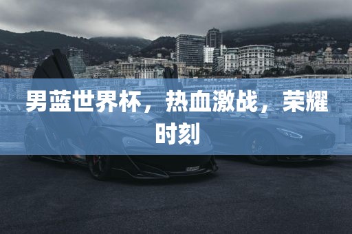 男蓝世界杯，热血激战，荣耀时刻