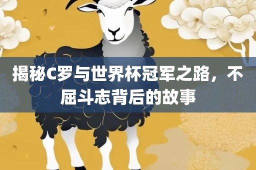 揭秘C罗与世界杯冠军之路，不屈斗志背后的故事