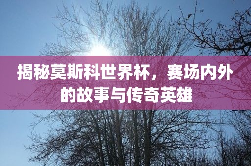 揭秘莫斯科世界杯，赛场内外的故事与传奇英雄