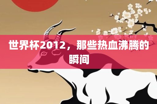 世界杯2012，那些热血沸腾的瞬间