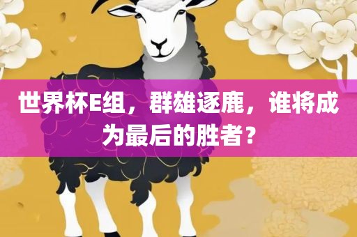 世界杯E组，群雄逐鹿，谁将成为最后的胜者？