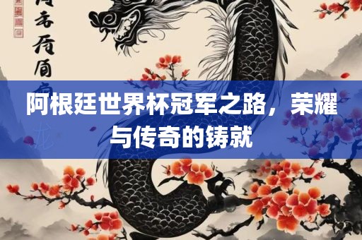 阿根廷世界杯冠军之路，荣耀与传奇的铸就